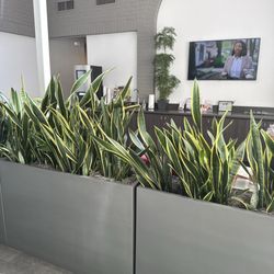 Lobby (waiting area)