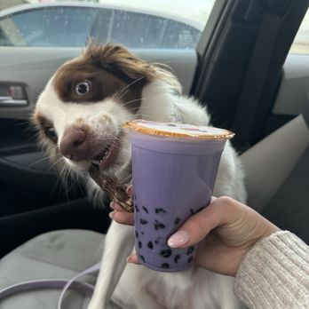 Boba Sound - Taro Milk Tea - Bubble Tea Near Me - Los Angeles, California