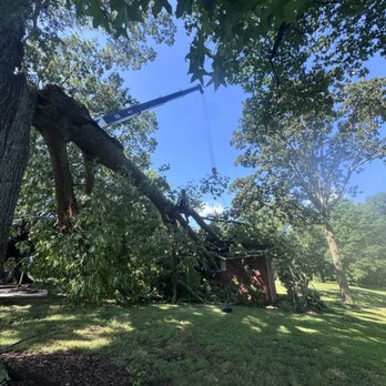 Sherman’s Tree Services - Tree Services Near Me - Mooresville , North Carolina Sherman’s Tree Services - Tree Services Near Me - Mooresville , North Carolina