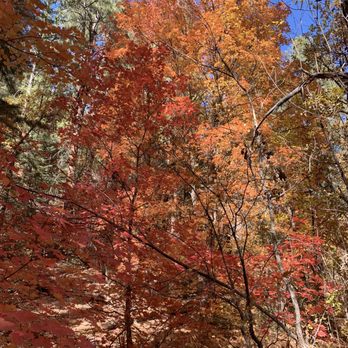 West Fork Trail - Hiking Near Me - Sedona, Arizona