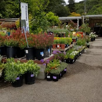 Sloat Garden Center - Nurseries & Gardening Near Me - Kentfield, California