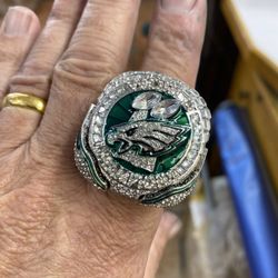 Fly Eagles Fly