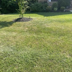 Solis Landscaping Services - This is work Solis Landscaping did in our home .