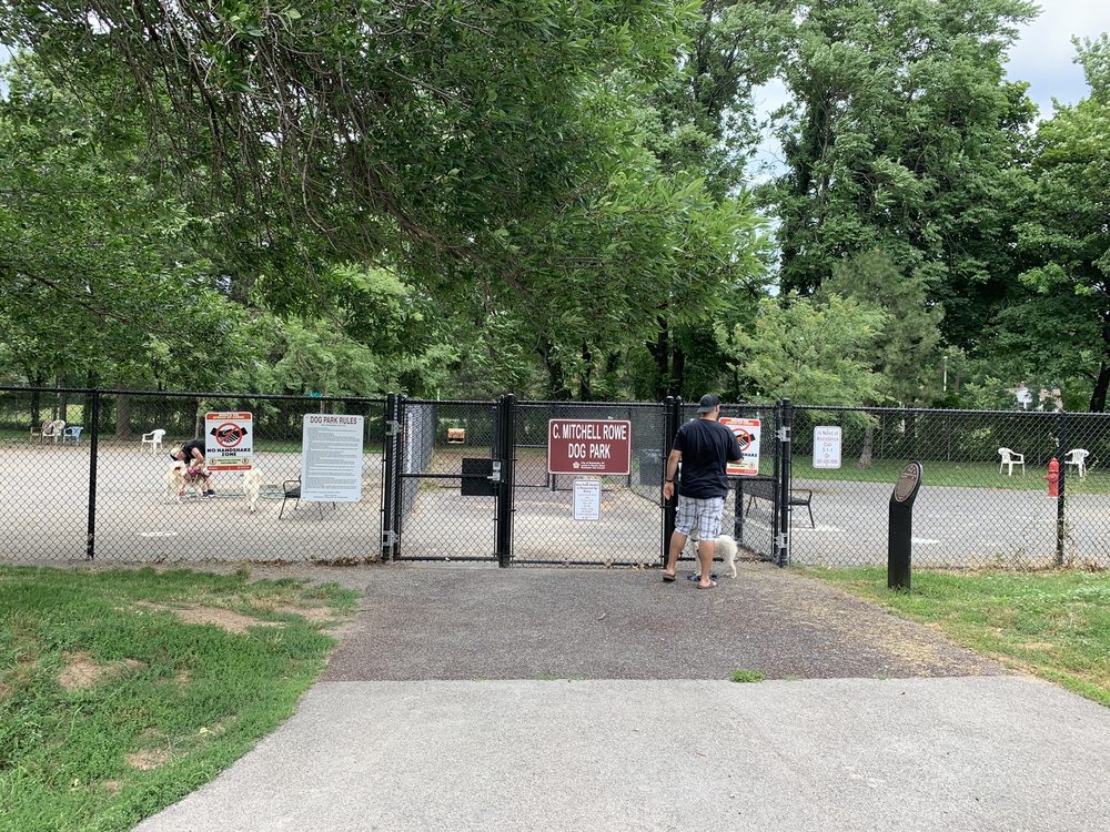 Cobb’s Hill Dog Park