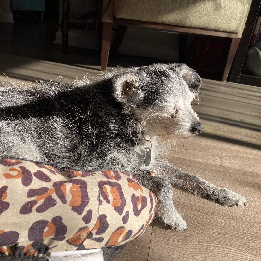 Enjoying the sunshine on his last morning