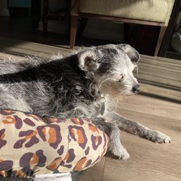 Enjoying the sunshine on his last morning
