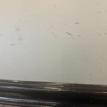 Simply Pho - Dirty walls with food stain - Vietnamese Near Me - Houston, Texas Simply Pho - Dirty walls with food stain - Vietnamese Near Me - Houston, Texas