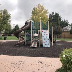 Pioneer Park - One jungle gym for the kids