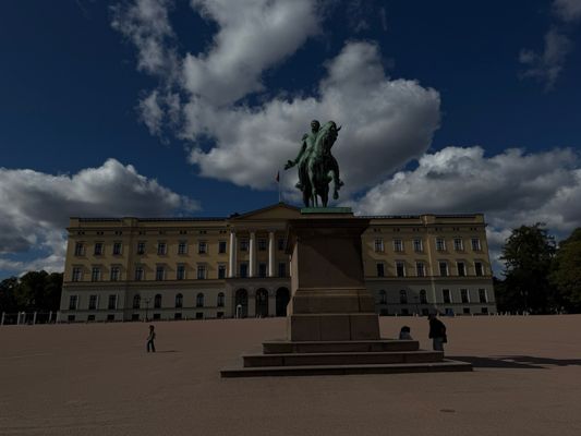 The Royal Palace by null