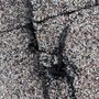 Photo of Nail It Roofing And Handyman Services