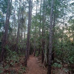 Flagler Trail South