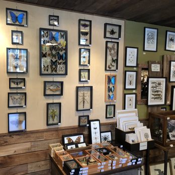 Paxton Gate - Home Decor Near Me - Portland, Oregon Paxton Gate - Home Decor Near Me - Portland, Oregon