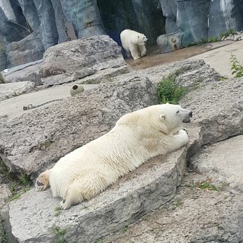 Toronto Zoo - Zoos Near Me - Toronto, Ontario Toronto Zoo - Zoos Near Me - Toronto, Ontario