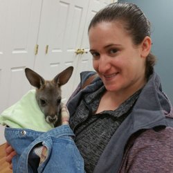 Wedgewood Golf & Country Club - Holding a baby kangaroo from the Columbus Zoo at the Wedgewood Country Club Health Fair today.