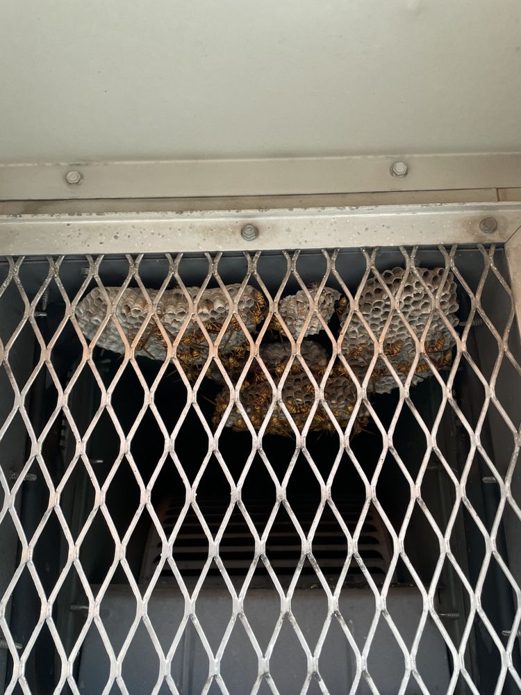 ELITE PEST MANAGEMENT Updated October 2024 23 Photos Yukon