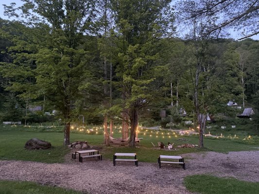 Dandelion - Restaurant by null