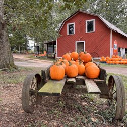 Hodges Family Farm - Love it!