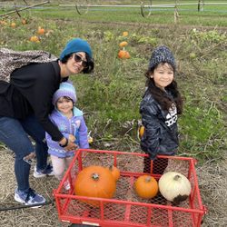 Piefer Family Farm - Wagons provided