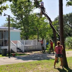 A Cut Above Tree Service