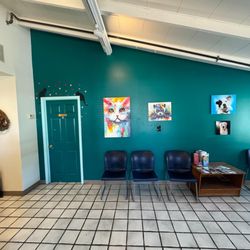 Alley Cat & Dog Pet Hospital