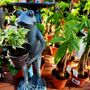 Photo of Bloomers Home & Garden Center