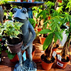 Bloomers Home & Garden Center
