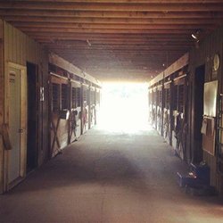 Meadowlark Equestrian Center - Our modern boarding barn has rubber drainage mats in all stalls, as well as built in tack lockers, and a wash stall with overhead hose.