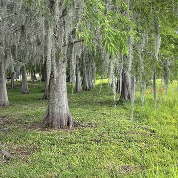 Bill Frederick Park at Turkey Lake - Parks Near Me - Orlando, Florida