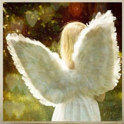 Lori Niell - Your Soul Has the Answers - Your Soul Has The Answers