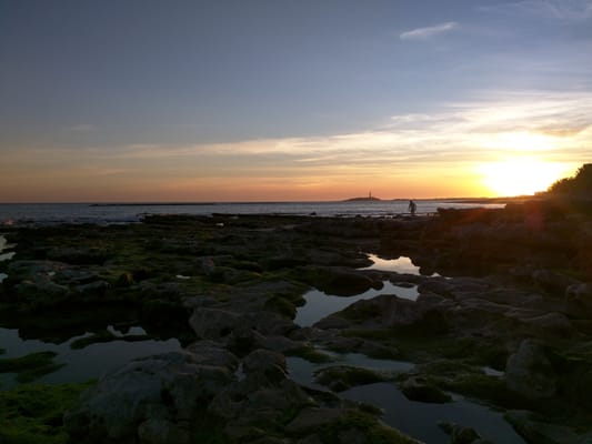 Playa de los Caños de Meca by null