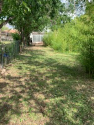 Bamboo removal - This job was from a home in Austin, the lady needed to make a pathway for her backyard and called us for the job and we made it as fast and clean for her she was very grateful and she even mention of her lost items that were in the bamboo that she forgot was there