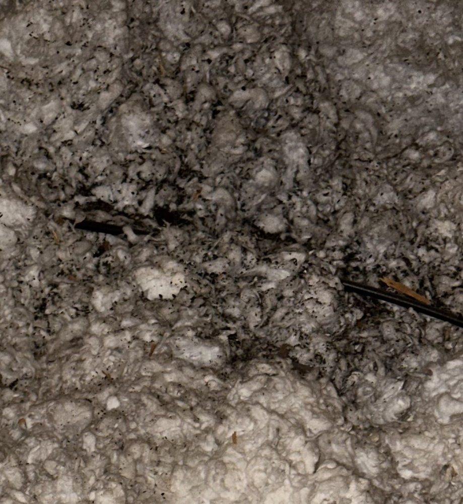 APTIVE ENVIRONMENTAL Updated September 2024 91 Photos & 676 Reviews