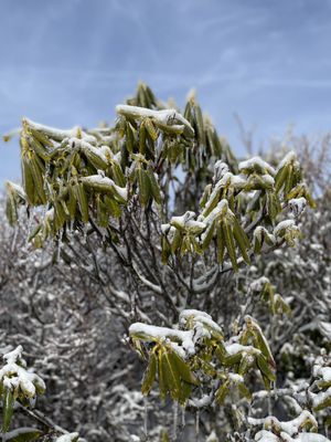 GRAYSON HIGHLANDS STATE PARK - Updated December 2024 - 247 Photos & 33