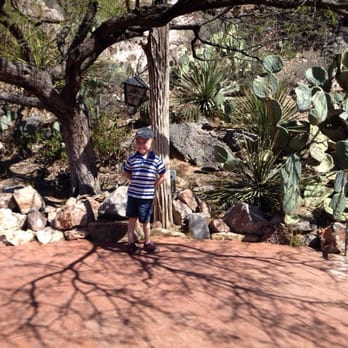 Colossal Cave Mountain Park - Museums Near Me - Vail, Arizona
