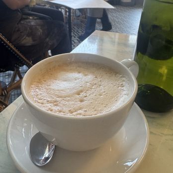 Little Frenchie - Latte - French Near Me - Coronado, California