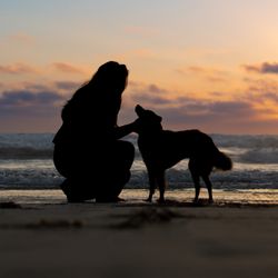 BMAC Pet Photography - Scripps Pier (La Jolla)