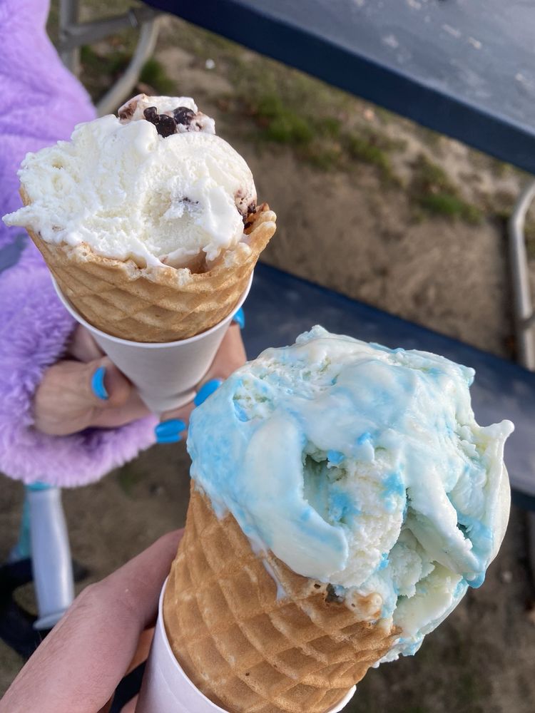 Moose Scoops Ice Cream Shop Logo