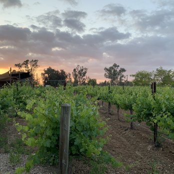 Rockin' Wine Tours - Lorimar at sunset - Wine Tours Near Me - Temecula, California Rockin' Wine Tours - Lorimar at sunset - Wine Tours Near Me - Temecula, California