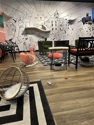 Catfeine Cat Cafe by null