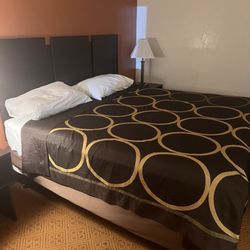 Super 8 by Wyndham Stamford/New York City Area - View of the bed from the window