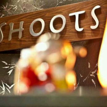 Shoots Chinese - Chinese Near Me - Provo, Utah Shoots Chinese - Chinese Near Me - Provo, Utah