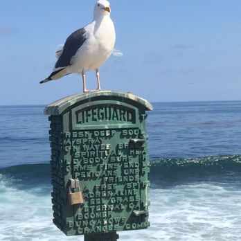 La Jolla Cove - Parks Near Me - La Jolla, California