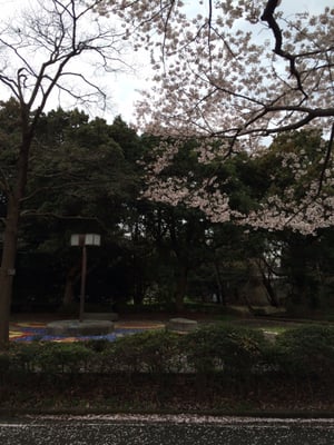 大宮第二公園 10 Photos Parks 大宮区寿能町 2 405 さいたま市 埼玉県 Japan Phone Number Yelp