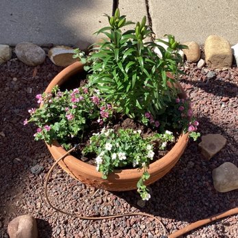 In Bloom Nursery - Nurseries & Gardening Near Me - Pinetop-Lakeside, Arizona