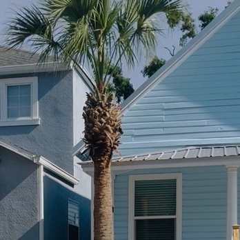 Precision Green - Tree Services Near Me - St. Petersburg, Florida