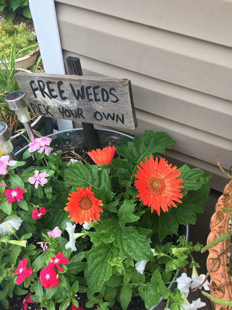 WILLIAMS GREENHOUSE Updated October 2024 219 Dogwood Ct, Harriman