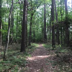 Logoly State Park