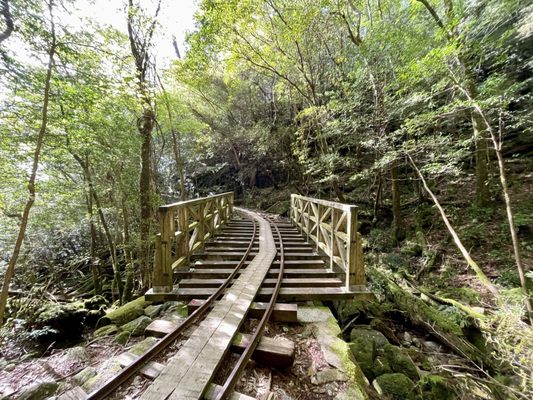 Yakusugi Land by null