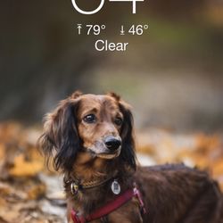 City of Redlands - Cool weather