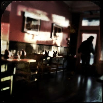Tiffin Indian Cuisine Mt Airy by null